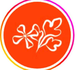 Ma cantine Buissonnière Traiteur engagée en Anjou Ma motivation : -la créativité et la curiosité, -le plaisir sensoriel (à cuisiner, à manger), -l'éthique : la démarche est assise sur une dimension écologique et sociale forte